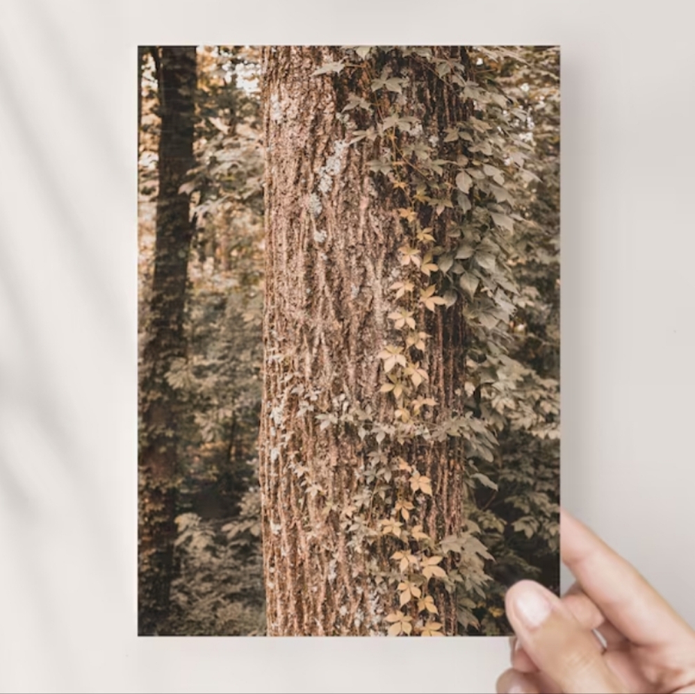🍁 Into the Woods | 8x10 Photo Print || wall art, home decor, gift